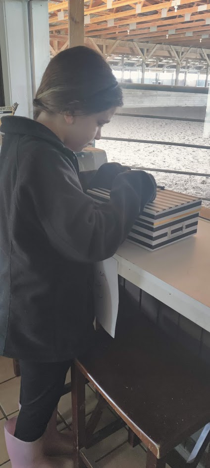 opening a mystery box