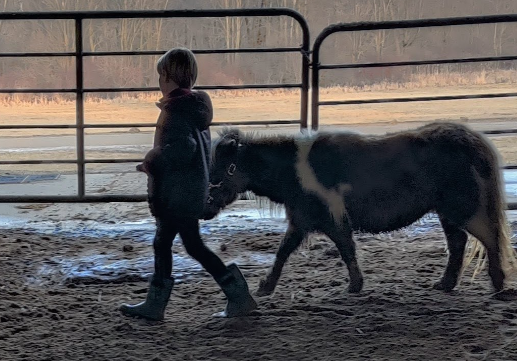 scottie and luna